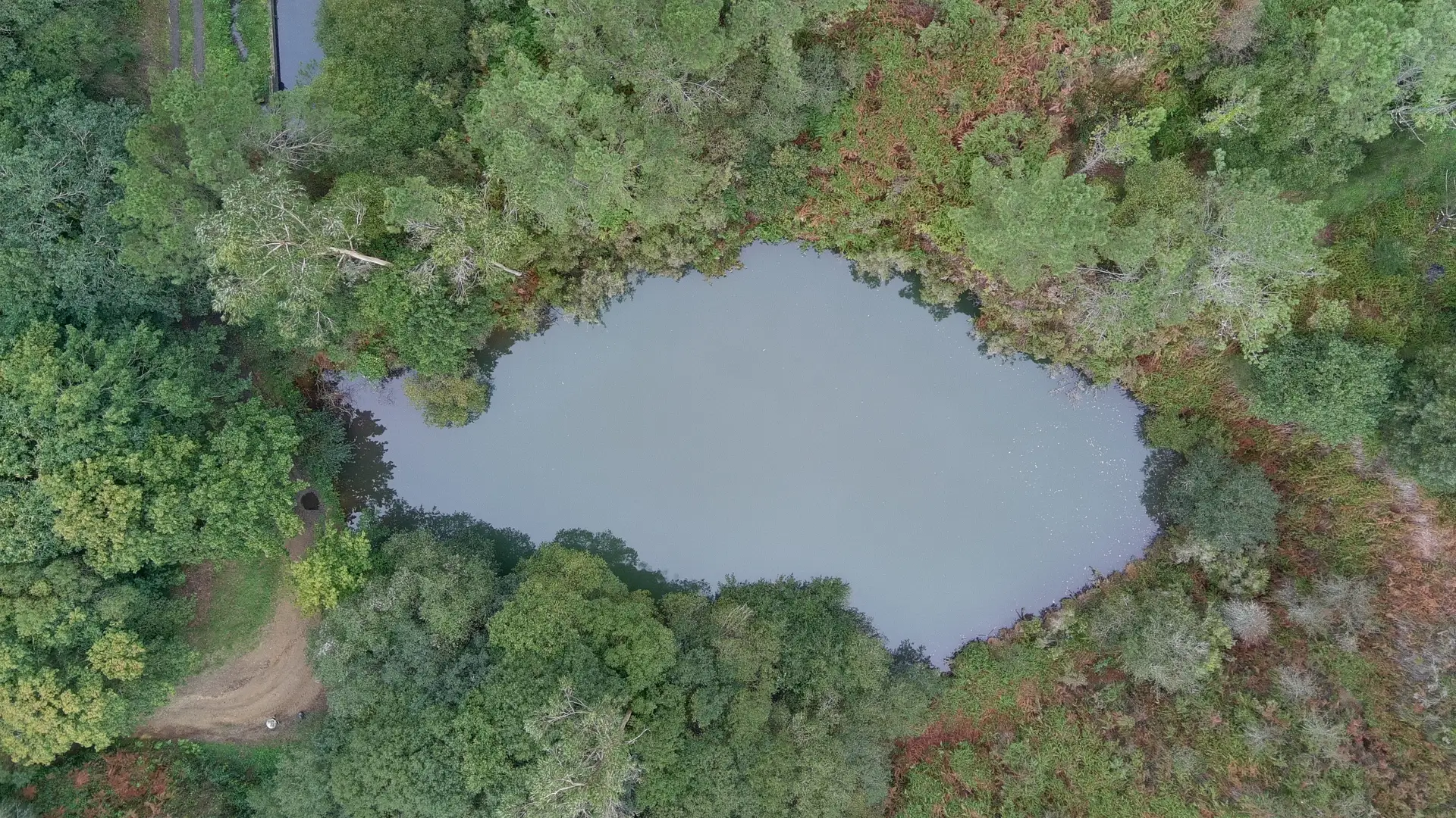 Vista cenital do Pozo de Limideiro, coa planta elíptica da corta mineira perfectamente recoñecible