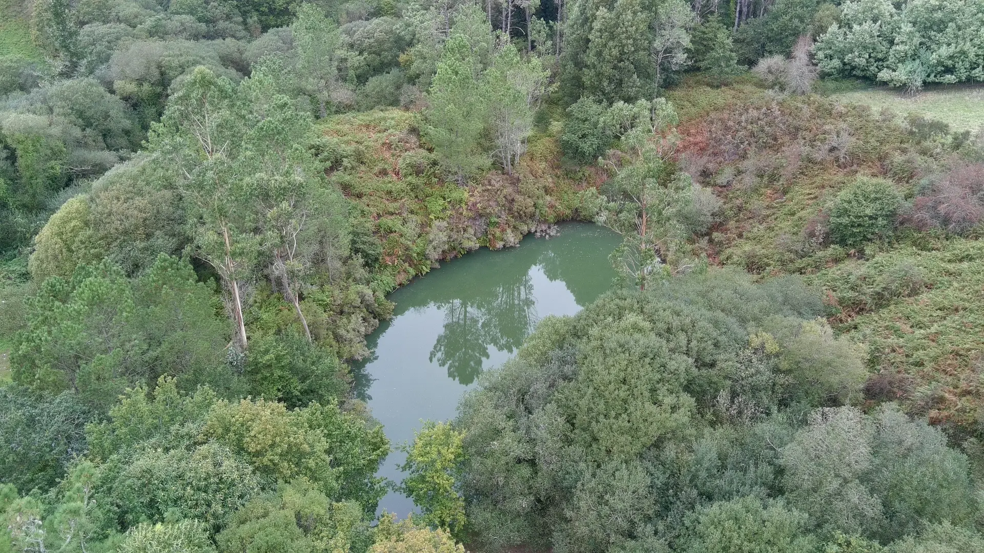 Vista aérea do Pozo de Limideiro, unha corta mineira totalmente asolagada e rodeada de vexetación