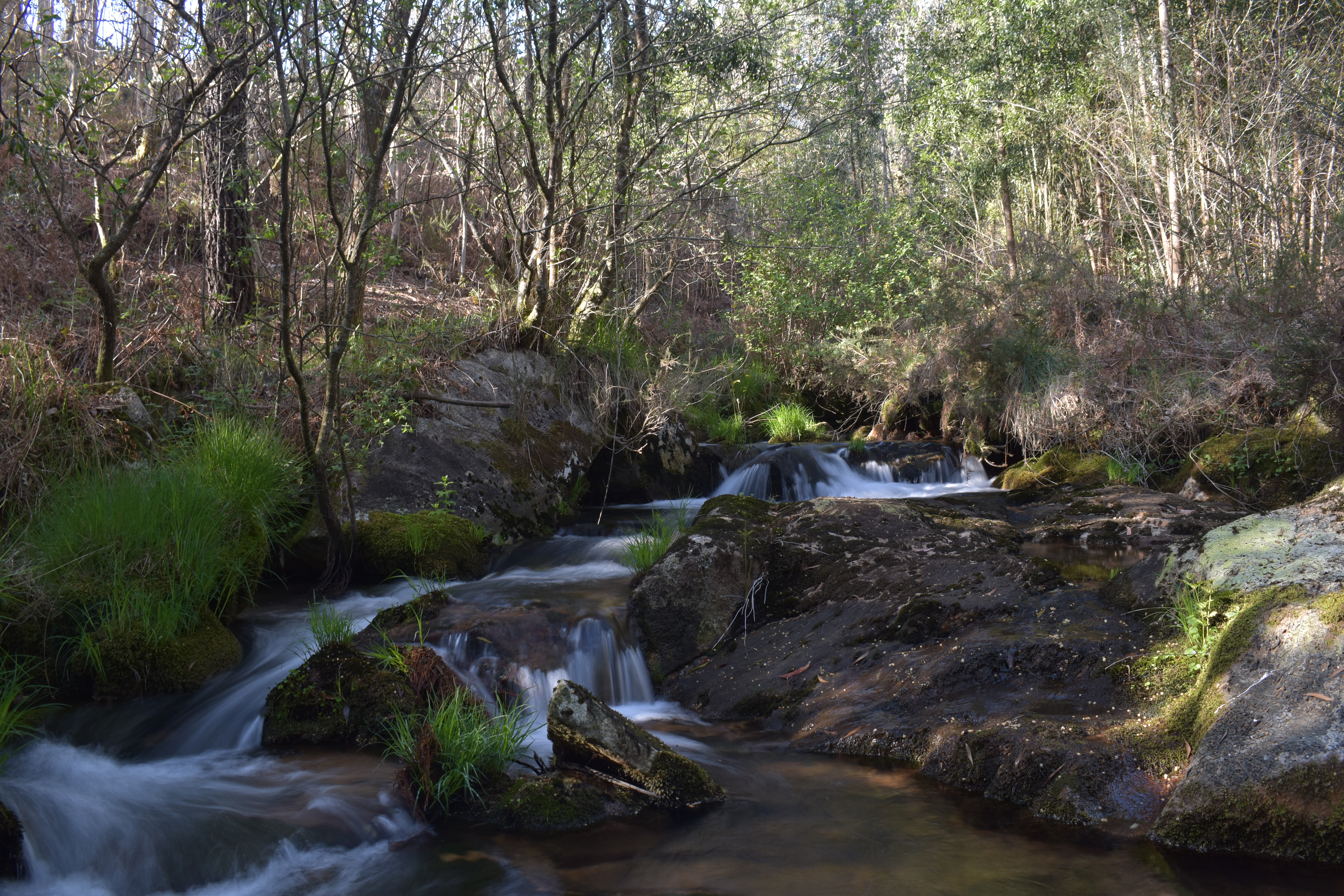 Pequena fervenza entre pedras no río xusto á beira dos muíños sobre Budián