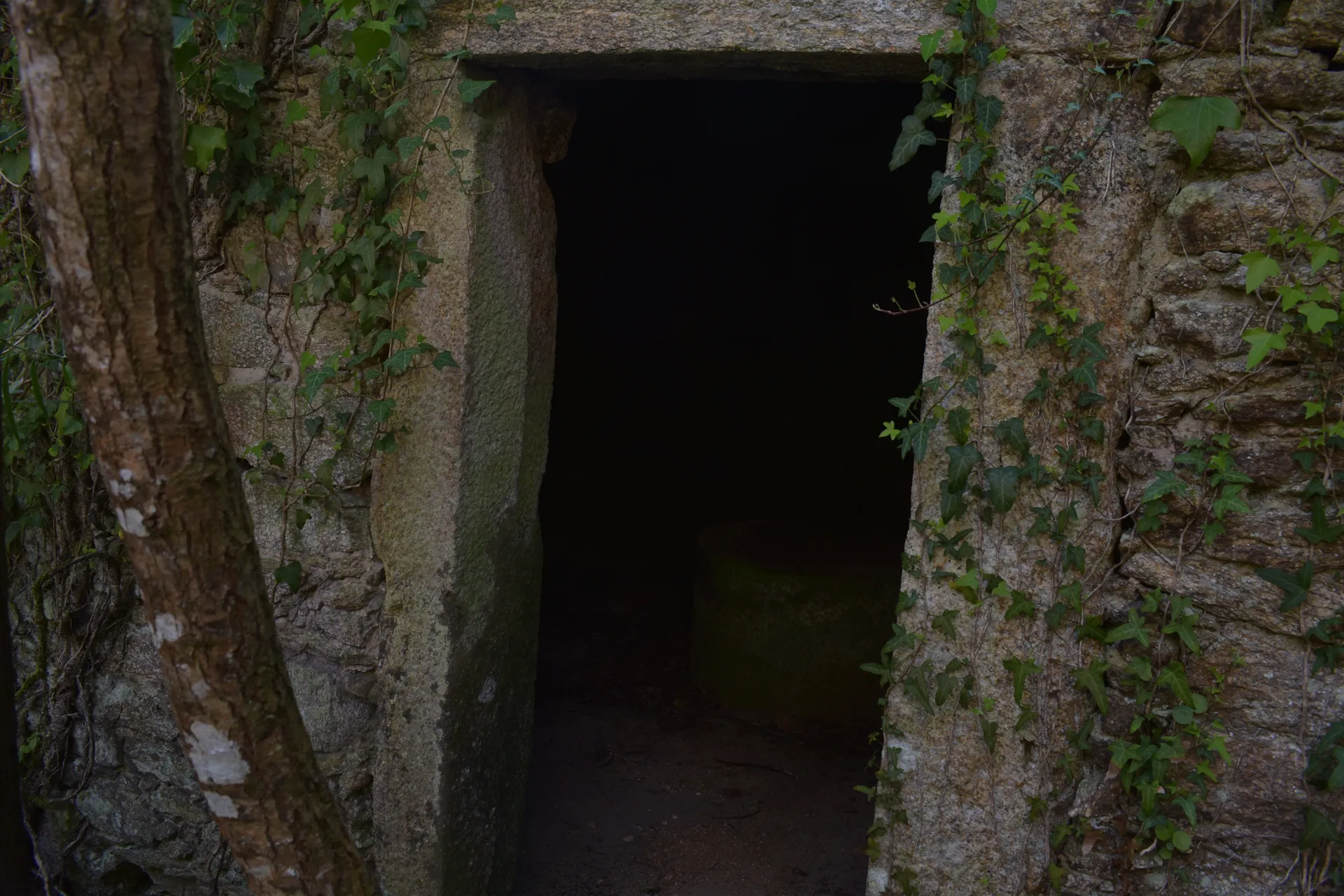 Porta de granito dun muíño, con hedra nos laterais e o interior na penumbra