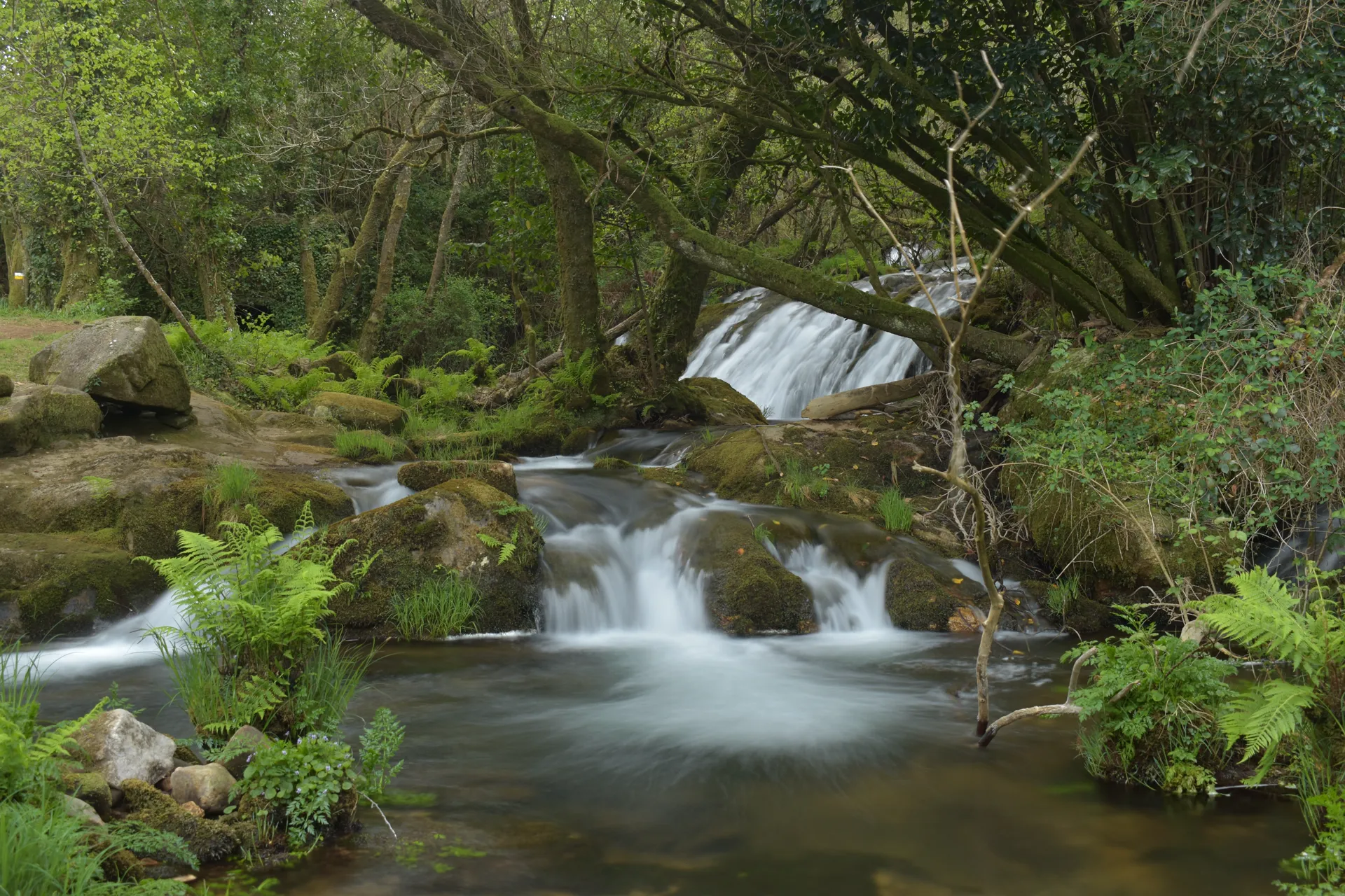 Fervenza de Parga con dous niveis e vexetación primaveral